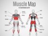 muscle-map-darebee